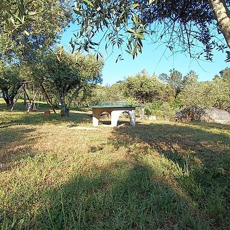 Quinta da Pedra Mija Santar Exterior foto