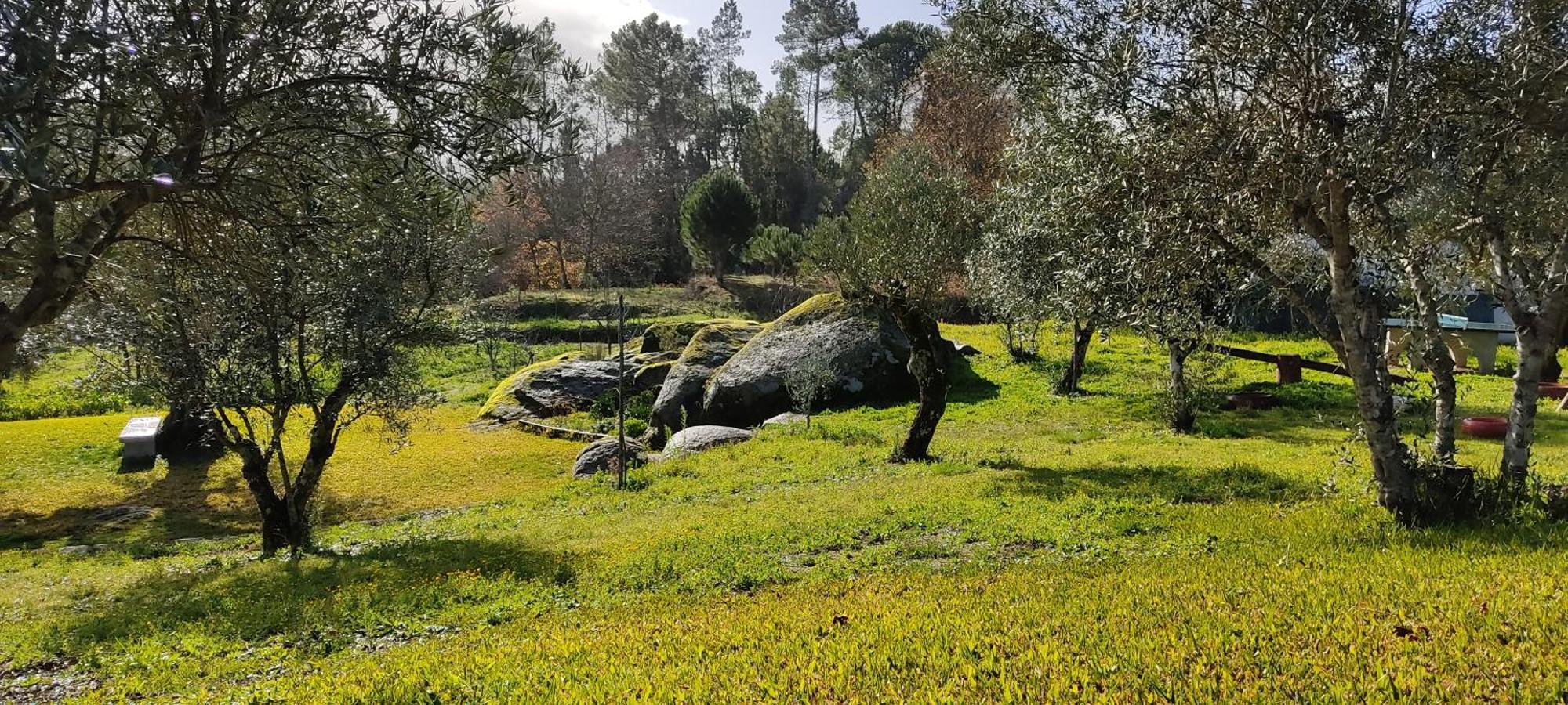 Quinta da Pedra Mija Santar Exterior foto