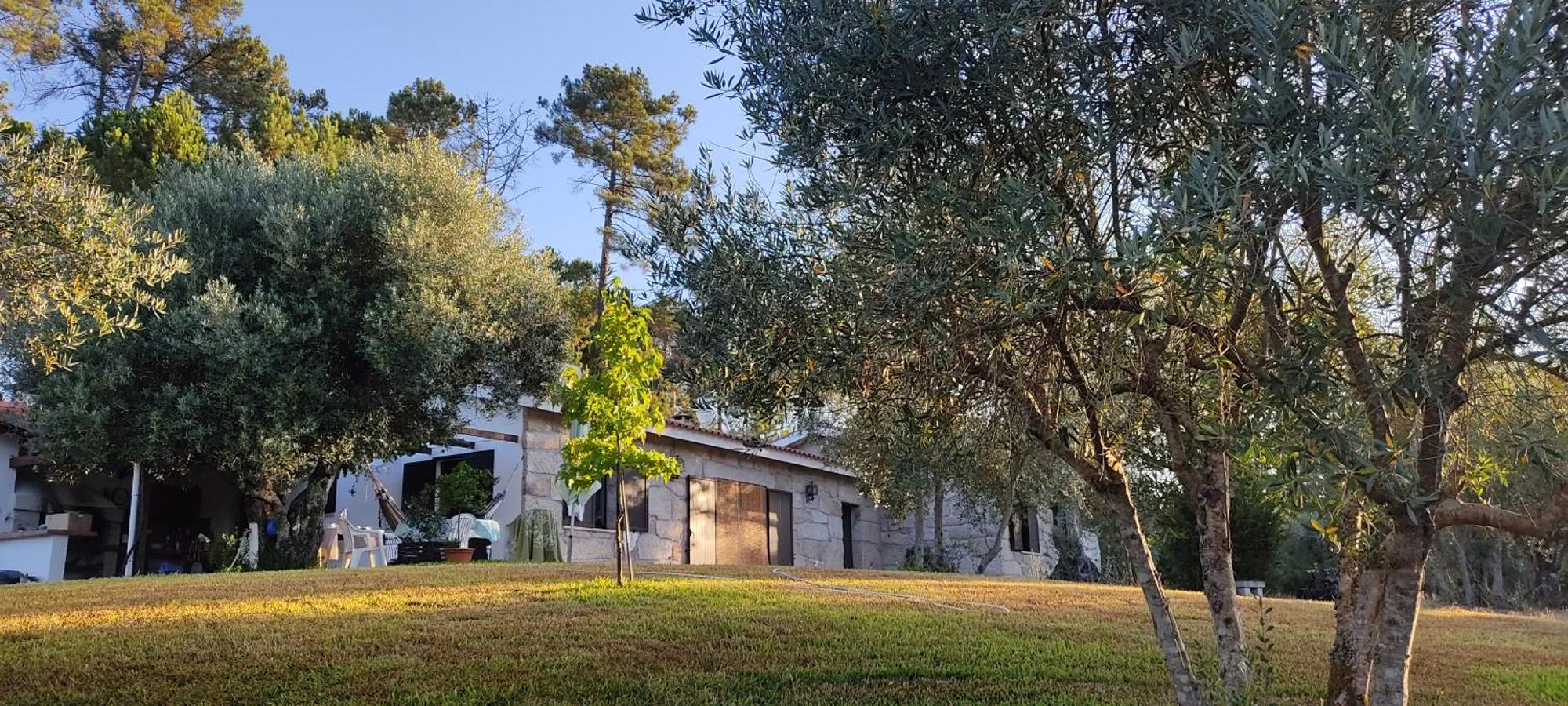 Quinta da Pedra Mija Santar Exterior foto