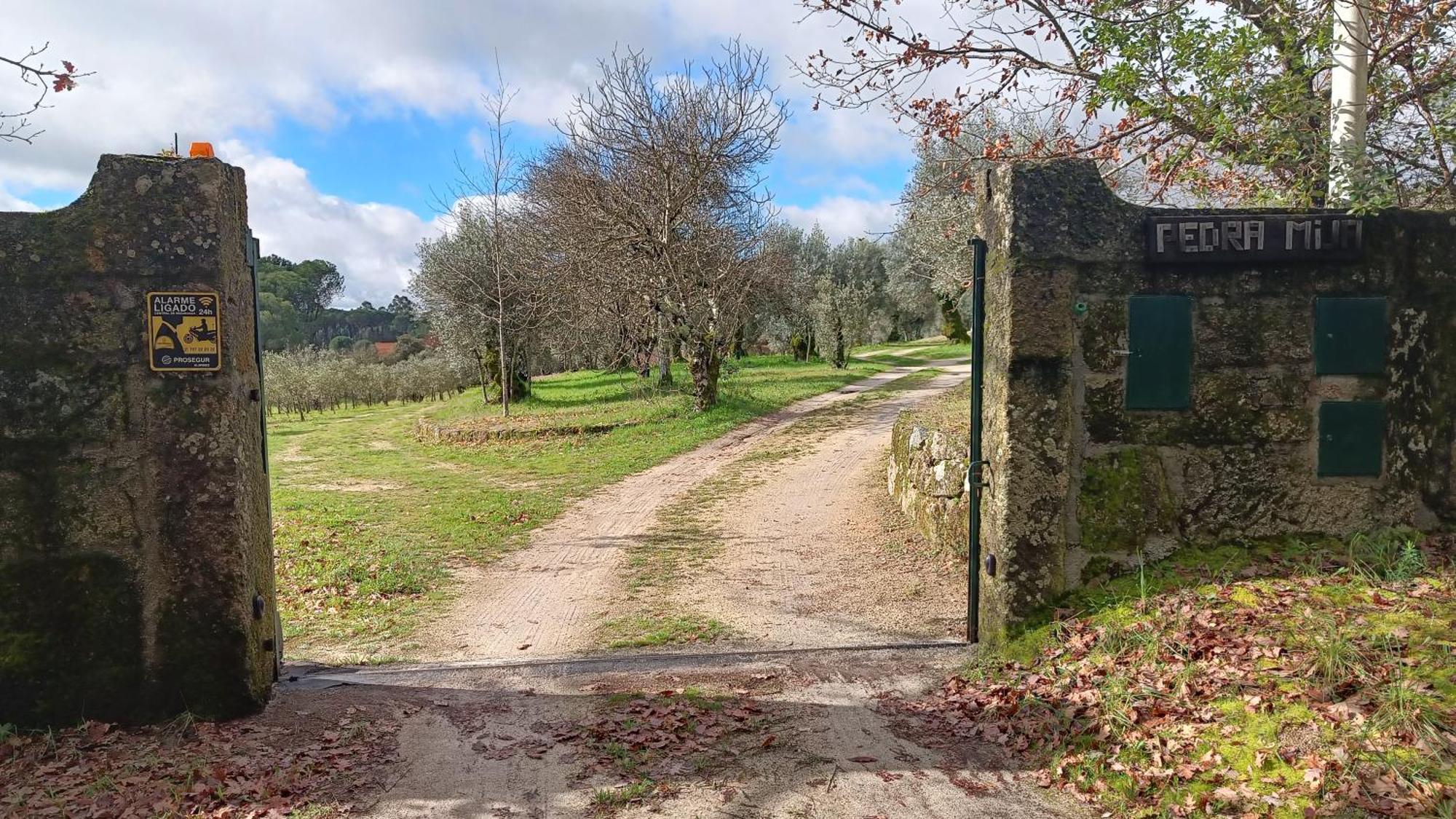 Quinta da Pedra Mija Santar Exterior foto
