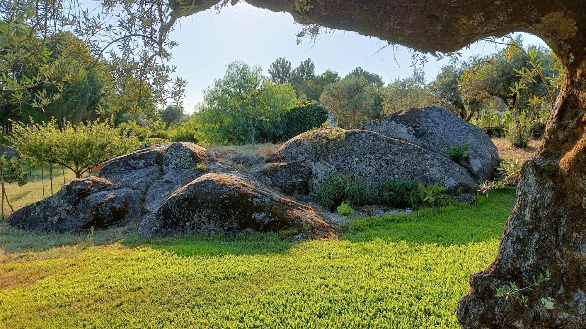 Quinta da Pedra Mija Santar Exterior foto