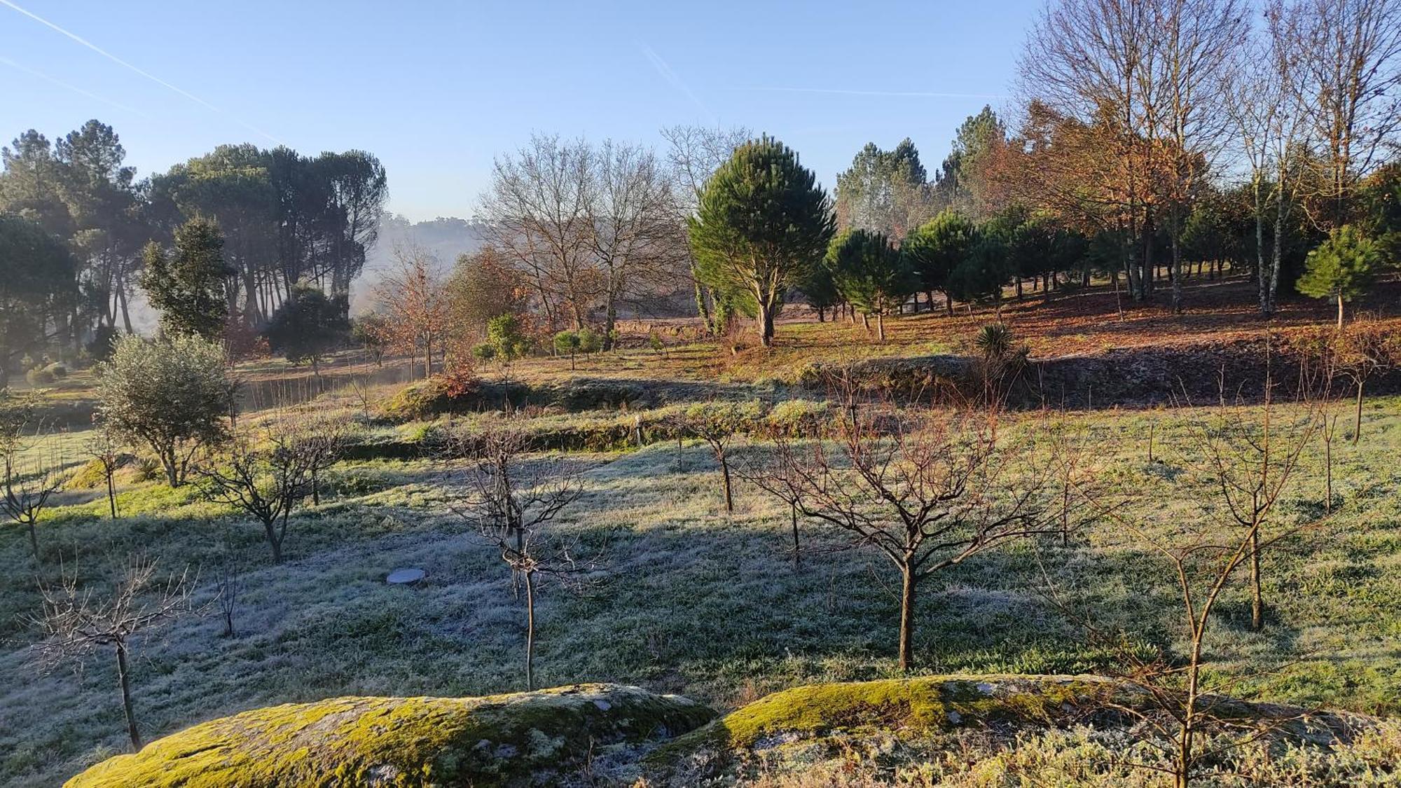 Quinta da Pedra Mija Santar Exterior foto