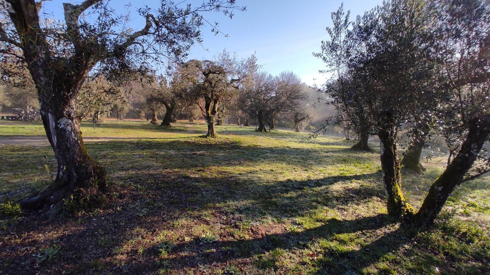 Quinta da Pedra Mija Santar Exterior foto