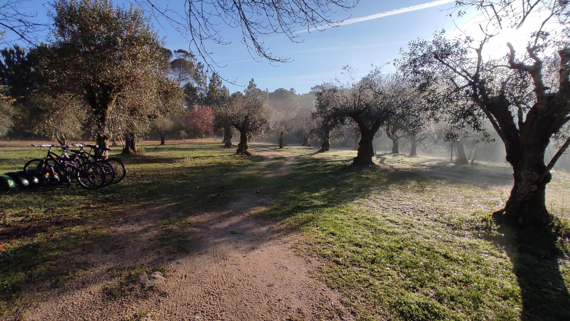 Quinta da Pedra Mija Santar Exterior foto