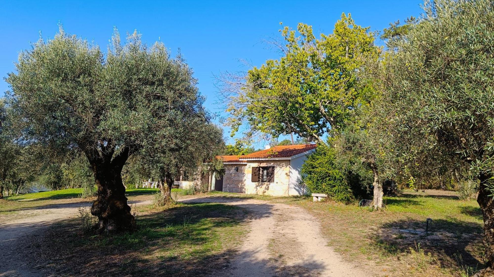 Quinta da Pedra Mija Santar Exterior foto