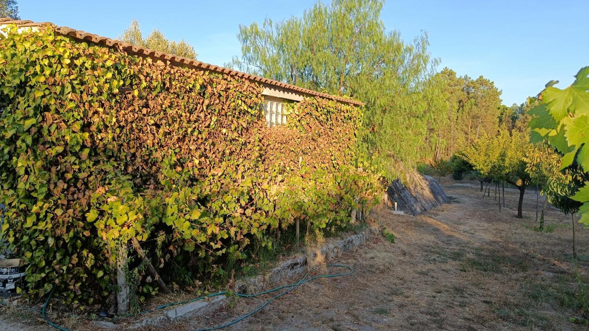 Quinta da Pedra Mija Santar Exterior foto