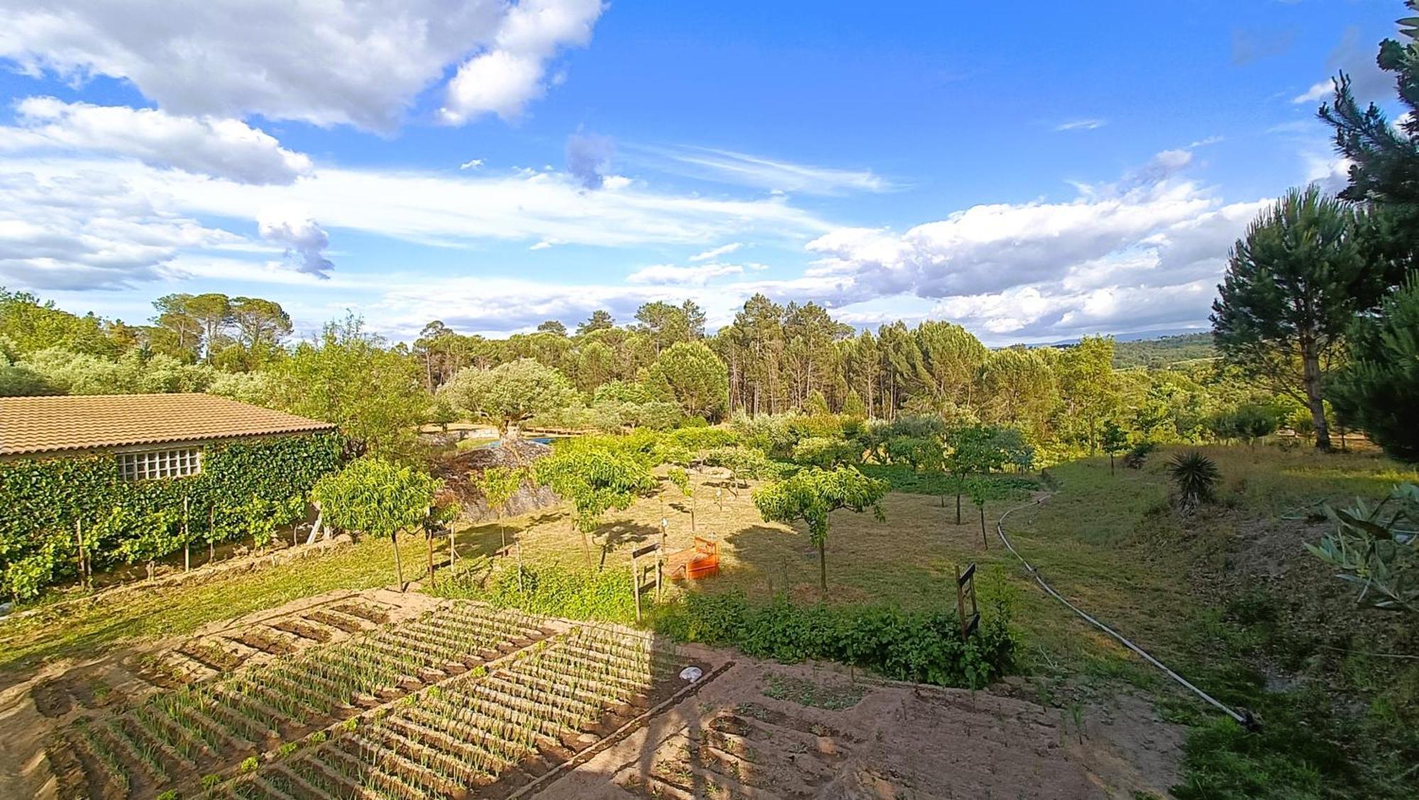 Quinta da Pedra Mija Santar Exterior foto