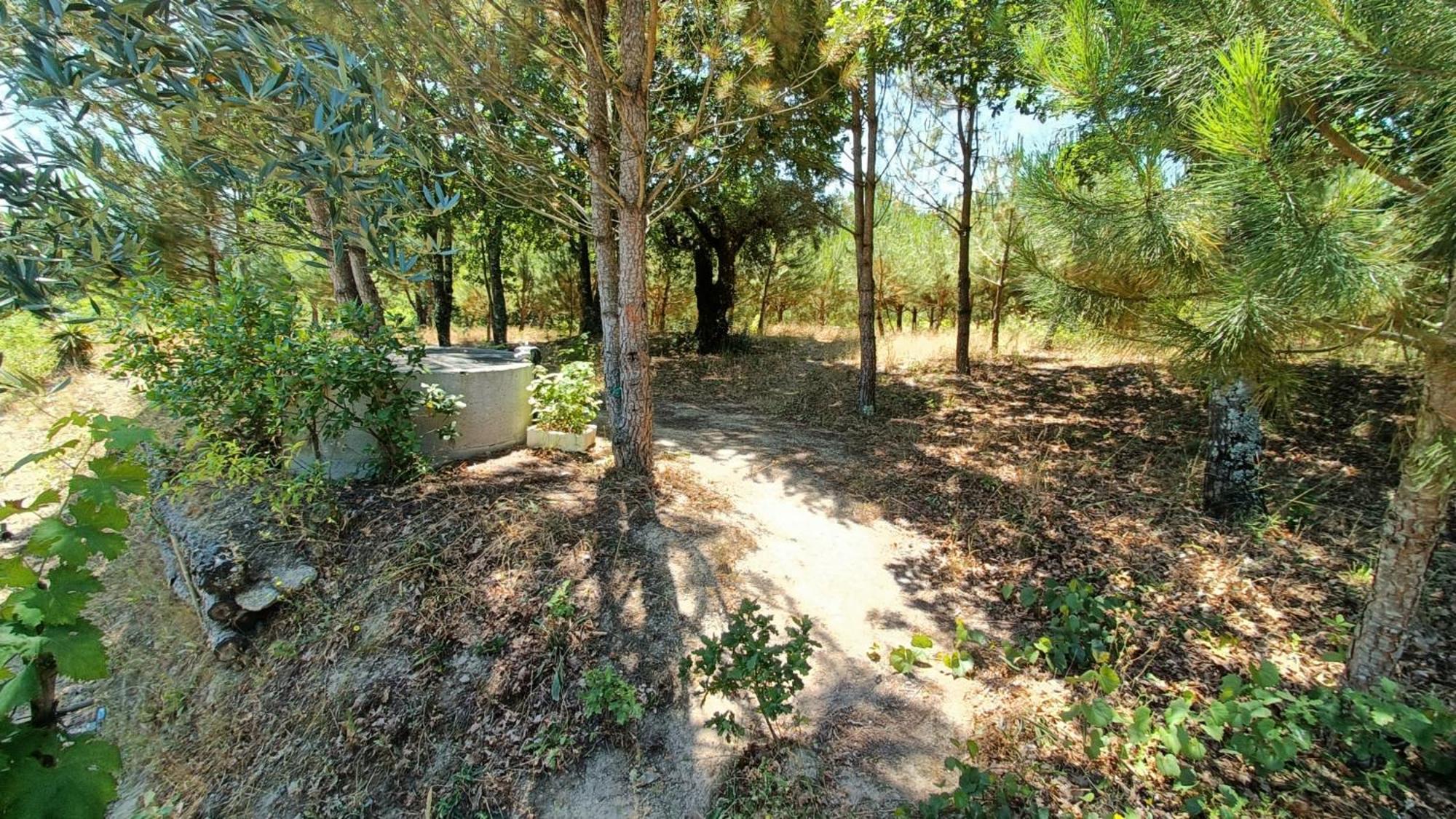 Quinta da Pedra Mija Santar Exterior foto