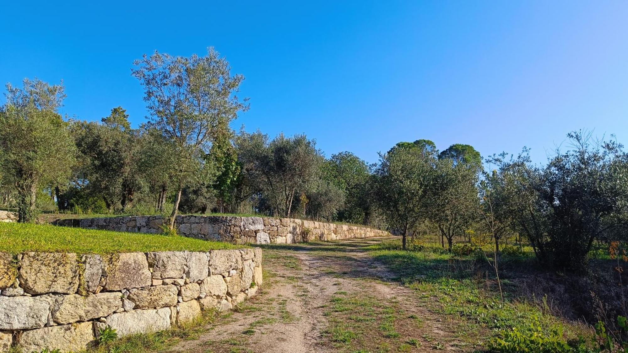 Quinta da Pedra Mija Santar Exterior foto
