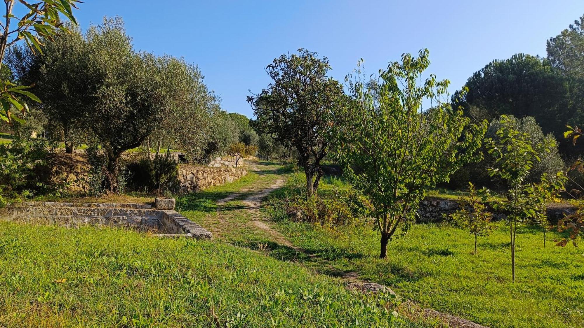 Quinta da Pedra Mija Santar Exterior foto