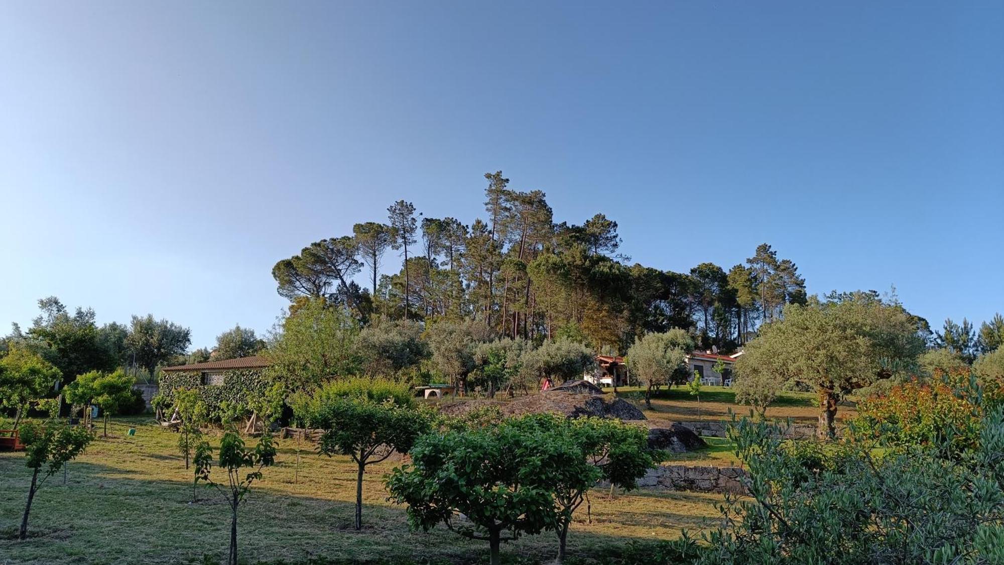 Quinta da Pedra Mija Santar Exterior foto