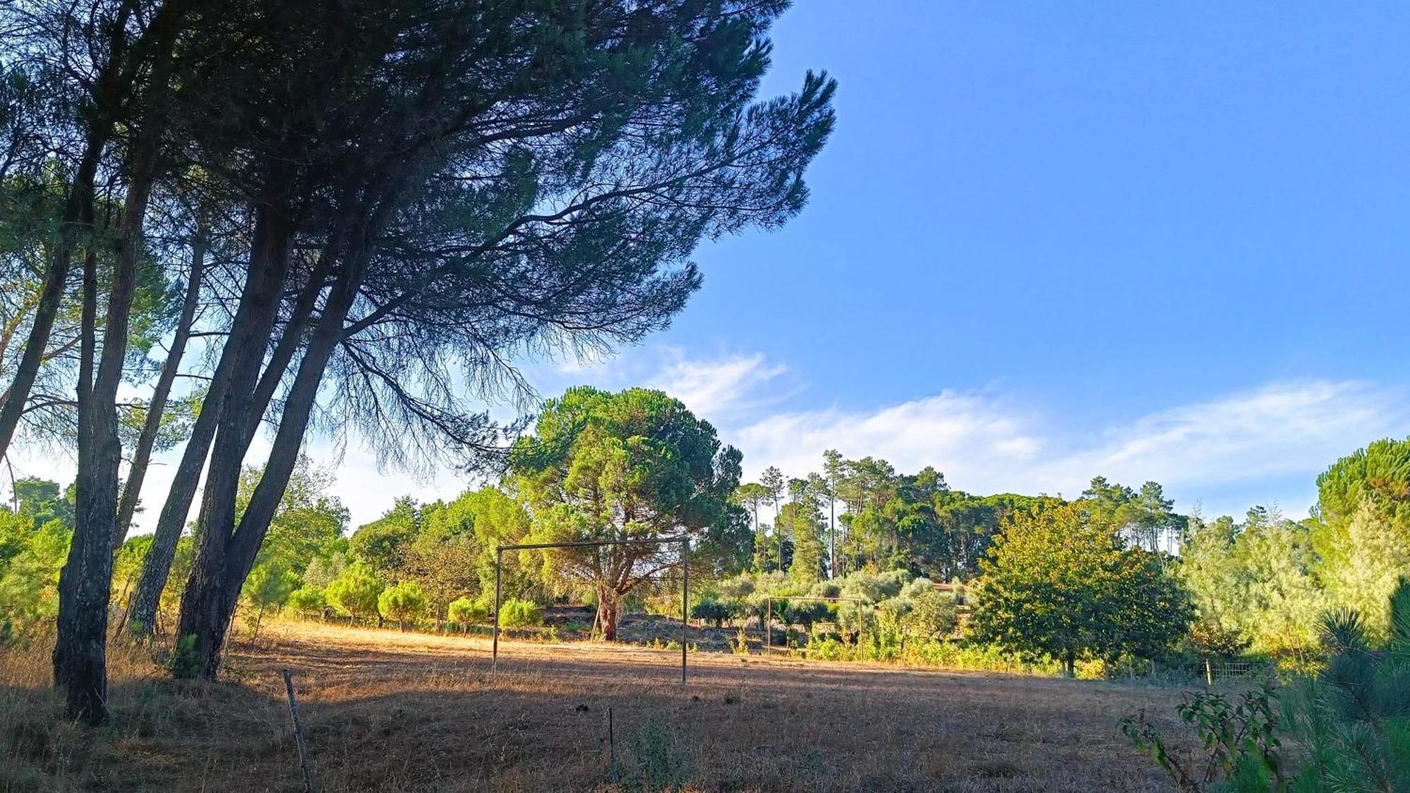 Quinta da Pedra Mija Santar Exterior foto