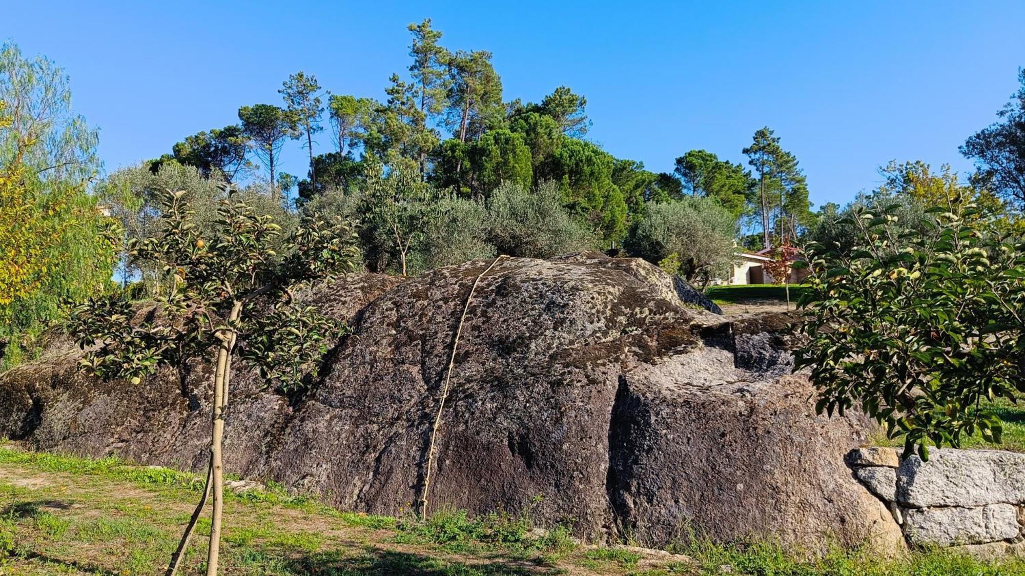 Quinta da Pedra Mija Santar Exterior foto