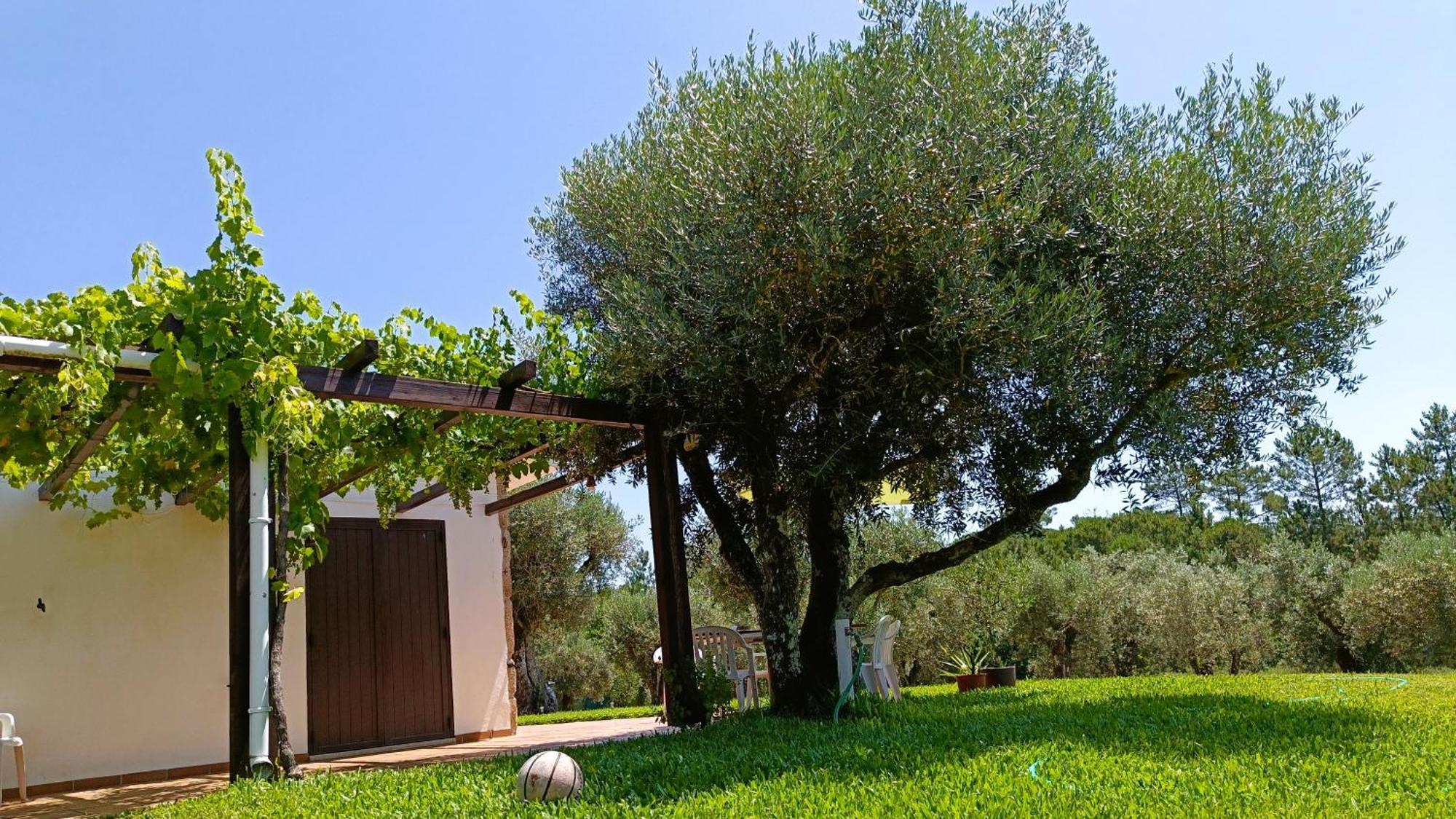 Quinta da Pedra Mija Santar Exterior foto
