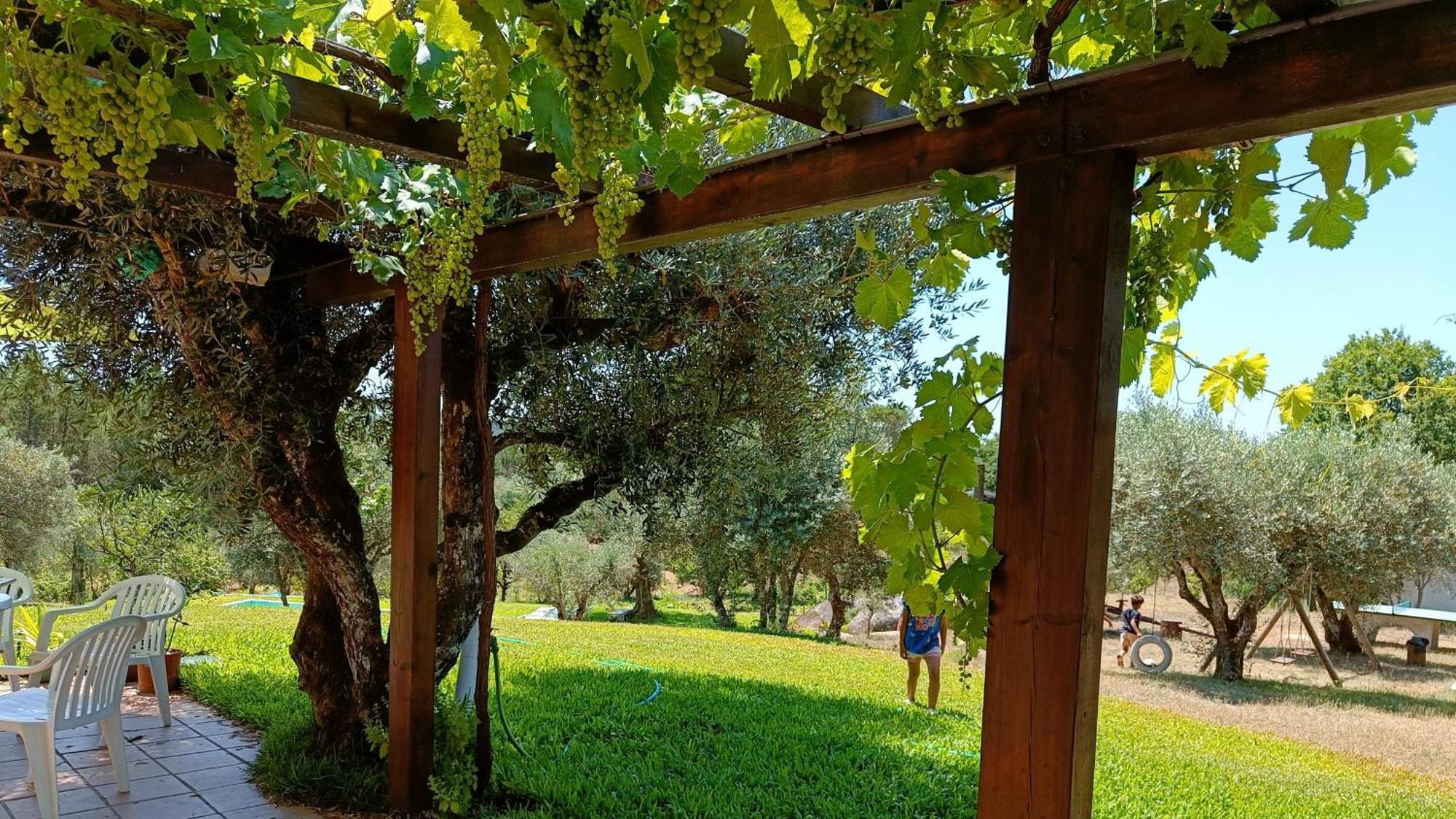 Quinta da Pedra Mija Santar Exterior foto