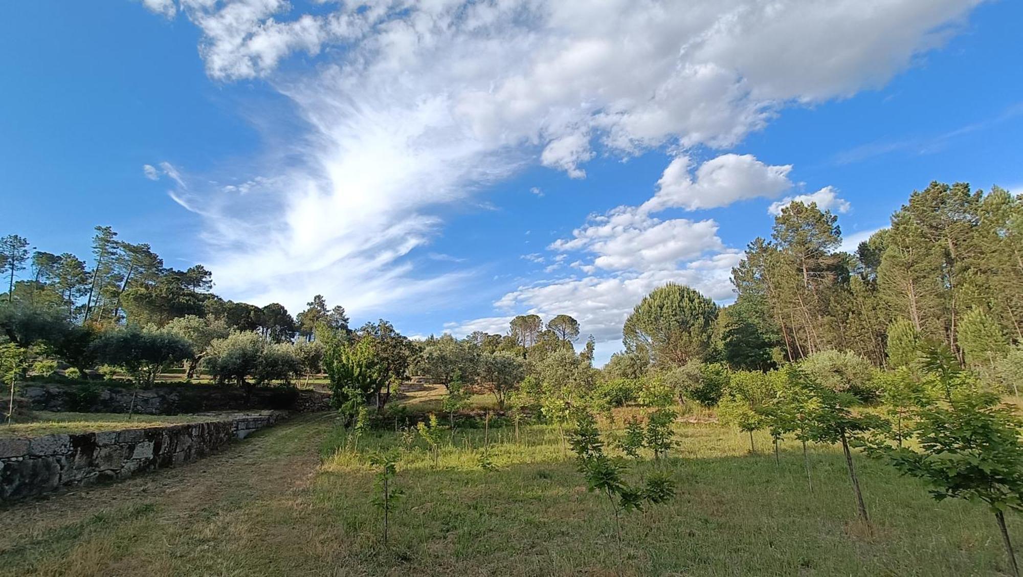Quinta da Pedra Mija Santar Exterior foto