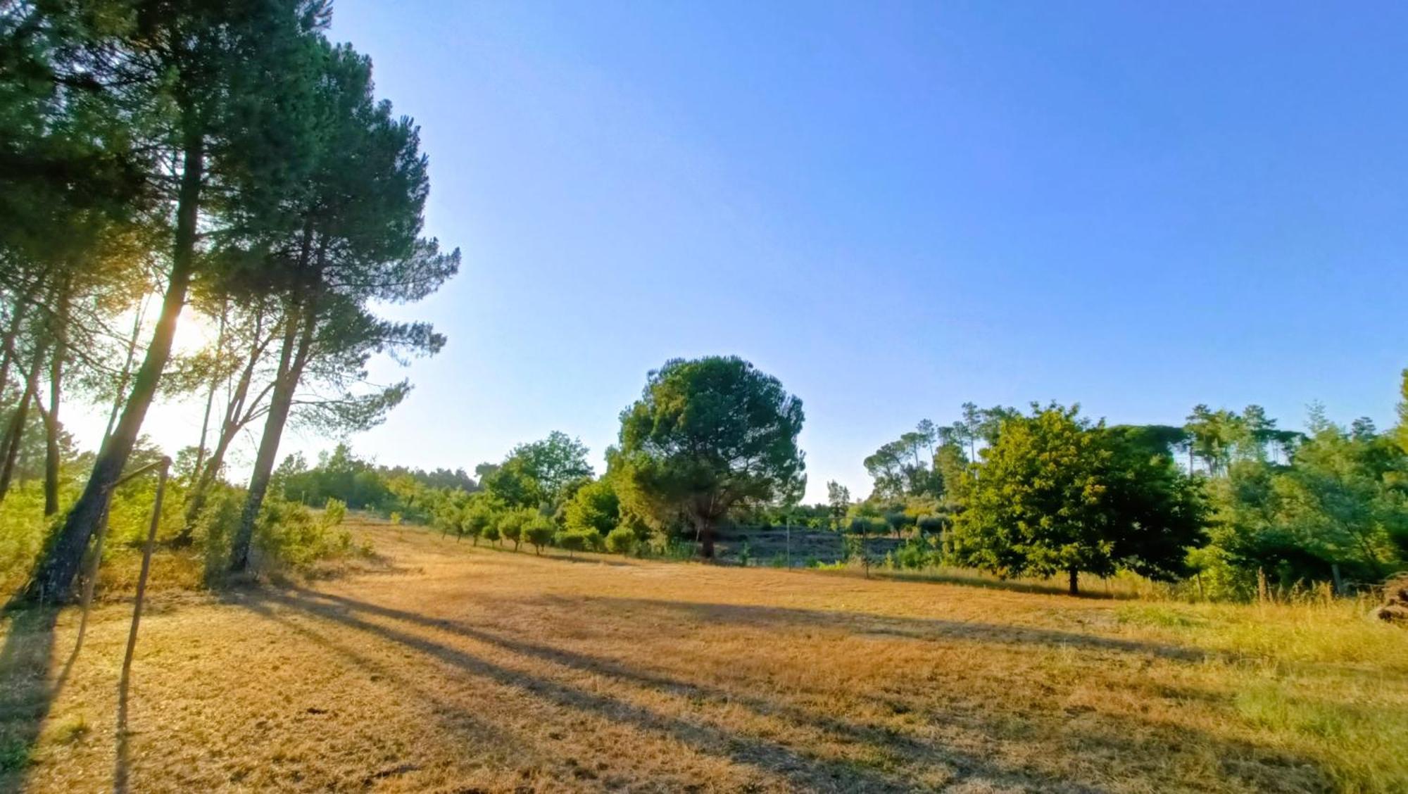 Quinta da Pedra Mija Santar Exterior foto