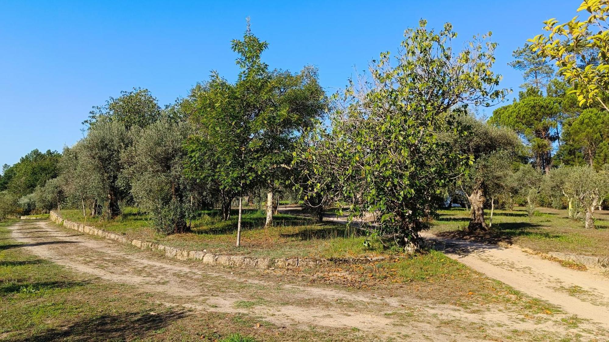 Quinta da Pedra Mija Santar Exterior foto