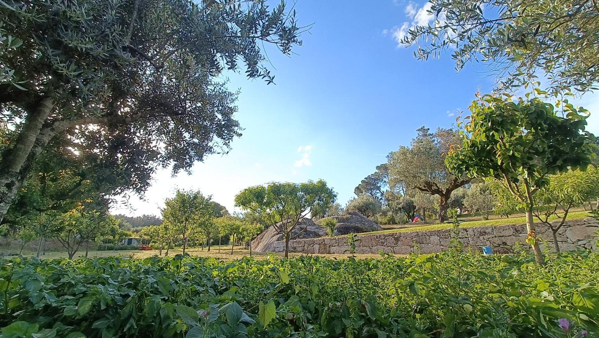 Quinta da Pedra Mija Santar Exterior foto