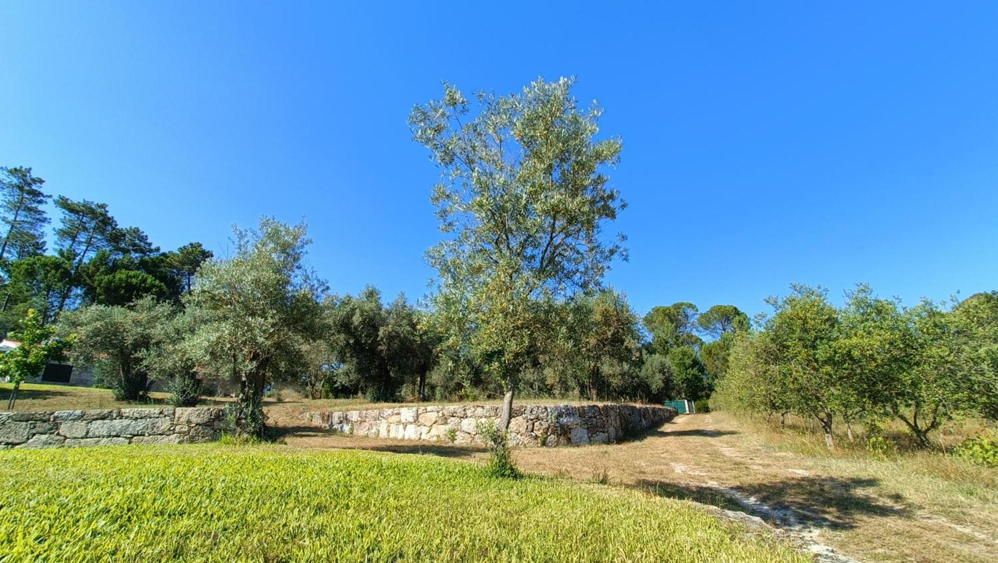 Quinta da Pedra Mija Santar Exterior foto