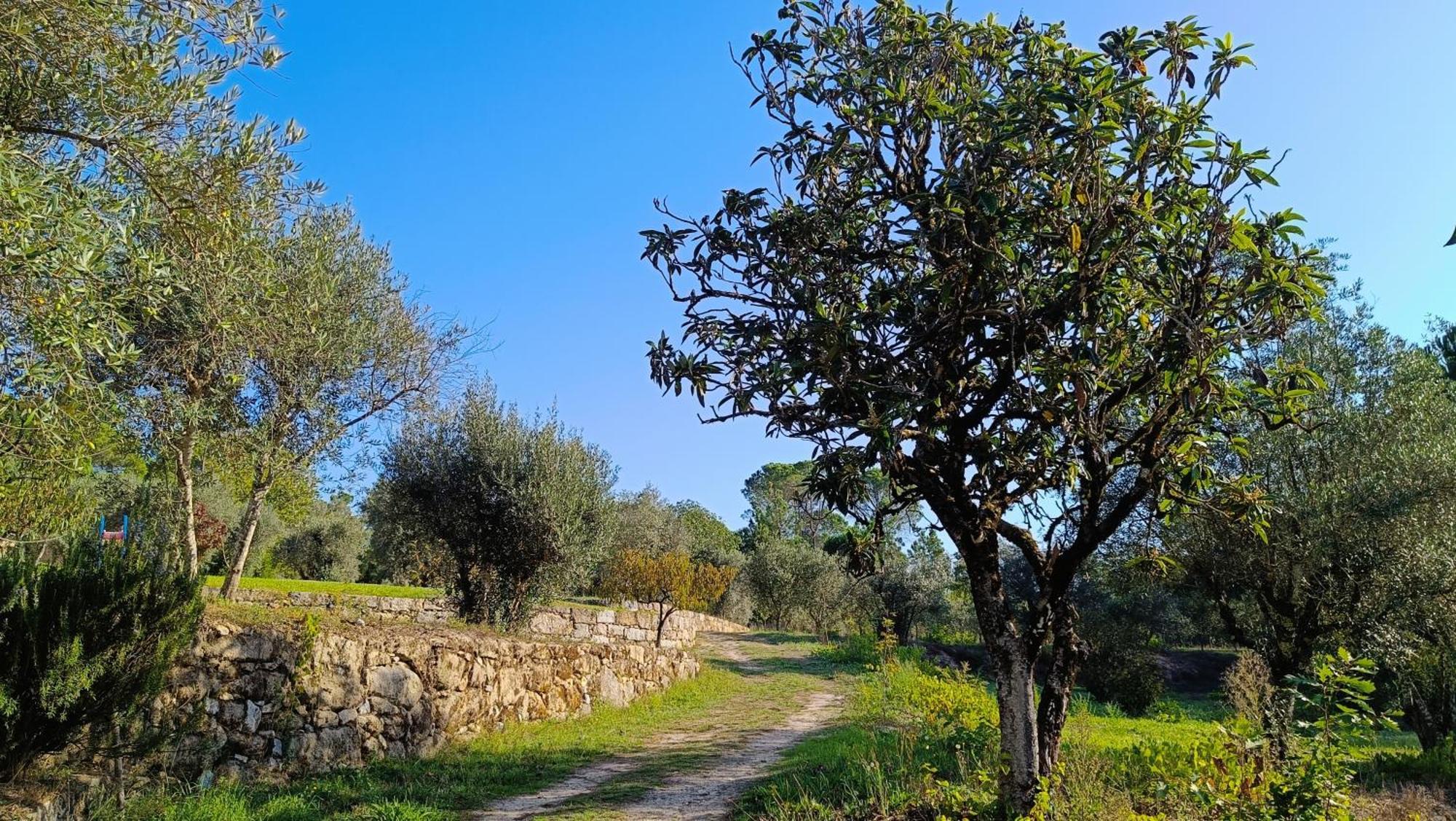 Quinta da Pedra Mija Santar Exterior foto